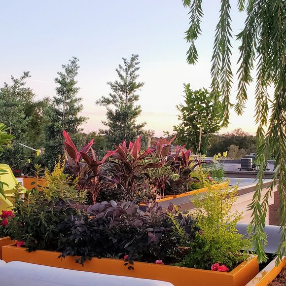 Hi, I'm Tiff: - Picture 5 of 13